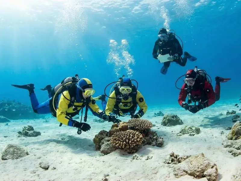 iac-Master Diver.jpg