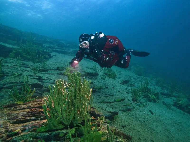 Name des Tauchkurs Alternativ