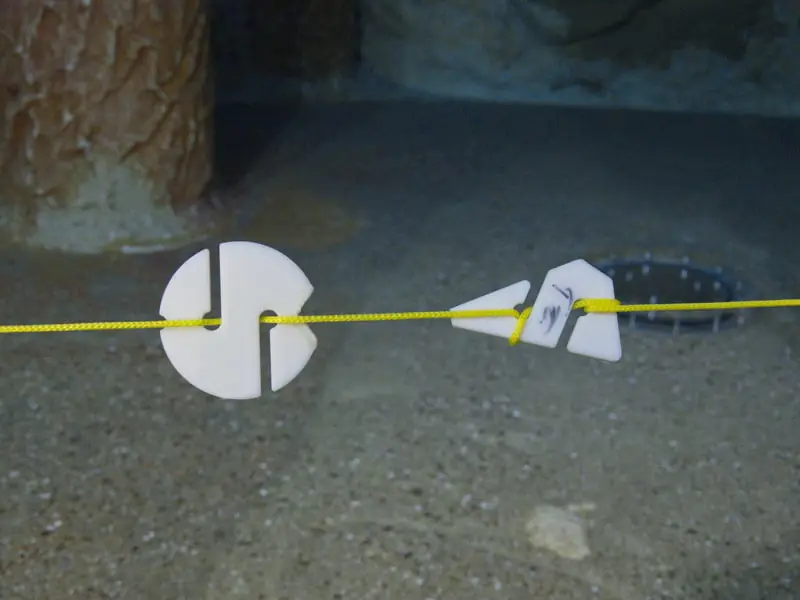 i.a.c.-Self Reliant-Pfeil.jpg