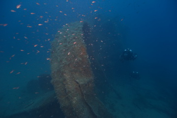 Advanced Wreck